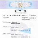 성심의안 Daum카페