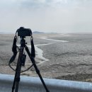 황산도 | 황산도 갯골 장노출