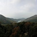 완도수목원 이미지