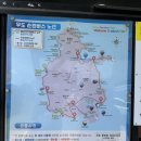 산호사 | 산호사해변, 하고수동 해수욕장 - 순환버스 타고 여행하기