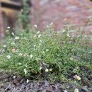 소더스111 이미지