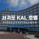 서귀포KAL호텔 | 제주도 숙소추천 서귀포 KAL(칼) 호텔 스탠다드 오션뷰 내돈내산 대한항공 마일리지 사용 가능 (+조식...