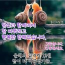 2024년 아듀 강산회 송년회및 회장 이취임식 동영상&#34;~12월끝자락에서... 이미지