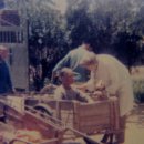 메리놀의원 이미지