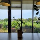 논산청과물 | 제주 애월 카페 살롱드라방 SALON de LAVANT
