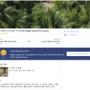 [푸꾸옥] 가성비 숙소 추천 엠 빌리지 트로피칼 푸꾸옥 (M Village Tropical Phu Quoc) 수영장, 조식