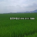 대산면920 이미지