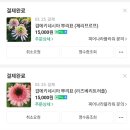 피어나라플라워