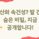 발건강 이미지