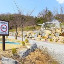 청풍명월 캠핑장 이미지