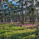 대왕암공원 안내센터 이미지