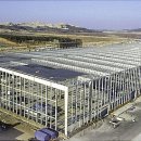 케이앤지 뉴시스