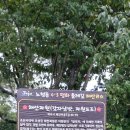 나만의 한평 정원 가꾸기 | 소소한 일상을 위한 나드리 49