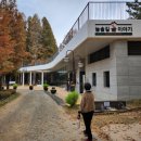 [강의후기] 2004 예술로 어울림, 박물관 옆 늘솔길, 숲속 사운드테라피, 남동문화재단, 가을산책, 엄마...