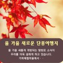 고추골솔바람마을 이미지