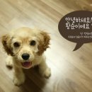 GS인천석남점