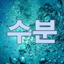 더마올가스킨 네이버블로그