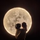 미평~만흥L | 여수 아이와 가볼만한 곳, 여수여행, 여수 가볼만한곳 : 전남 여수 녹테마레