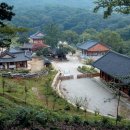 유마사 보안교 Daum카페