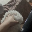 주)복토 농업회사법인 이미지