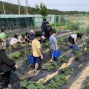 안산게시판광고