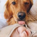 생명살림집 이미지