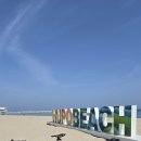 명가영덕대게 | 영덕 로드 자전거 여행 시포트리조트~후포해변 47km 구간