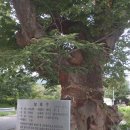 계남중학교 이미지