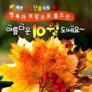 10월의 기도 - 이해인님 이미지