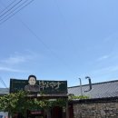 세포식당 | [평창 맛집] 용평 CC 라운딩 후 필수 코스! 50년 전통의 찐 산채정식 노포 <부일식당> 내돈내산 후기