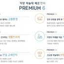 베르 이미지