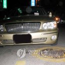 주정차68 이미지
