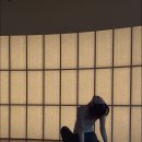 이라이요가플라잉요가양주