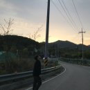 조양1리 이미지