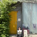 북스테이 노란 이미지