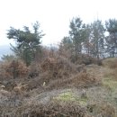 함안등기소 이미지