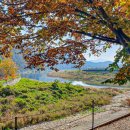 아날로거 무릉도원점 이미지