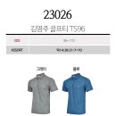6-031 TS 이미지