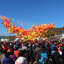 청송사과축제(2022년 11/2~6) 이미지