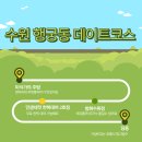 티피시스템 | 수원 행궁동 내돈내산 점심 맛집 망고빙수 카페 추천 데이트코스 후기
