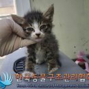 영빈아트빌라 티스토리