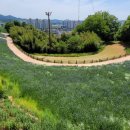 남산공원(정자아래) 이미지