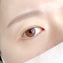 송파 잠실 속눈썹연장 [뷰티해빛] 강추후기!
