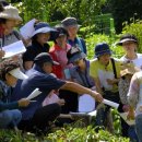 (주)산야초로 이미지