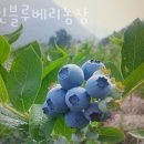 형민농장 이미지