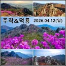 [제1155차] 주작&amp;덕룡 (4월12일) 산행공지 및 예약방 이미지