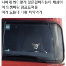 모아드라이크리닝 이미지