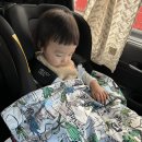 엘림카시트 이미지