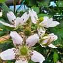 스마일복지용구 이미지