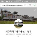 자몽자몽&사랑채